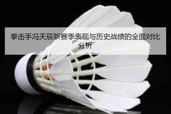 拳击手冯天辰新赛季表现与历史战绩的全面对比分析