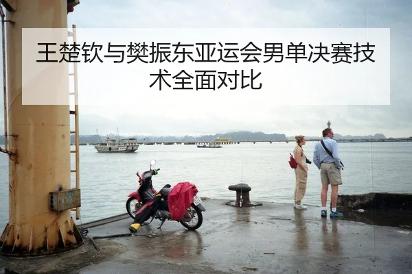 王楚钦与樊振东亚运会男单决赛技术全面对比
